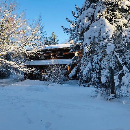 Kibuvitsa Holiday House Muratsi Dış mekan fotoğraf